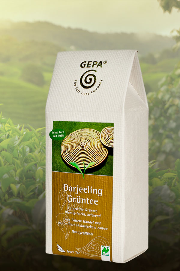 Grüner Tee in Indien Bio Fair Trade in loser Schüttung