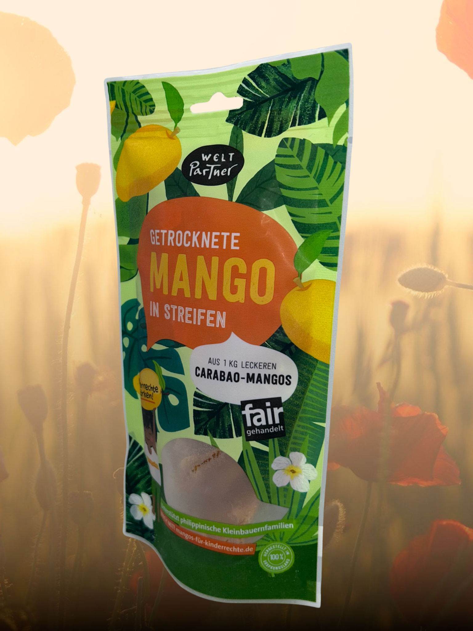 Mangos, Aktion Schutzengel, getrocknet, ungeschwefelt, 100g