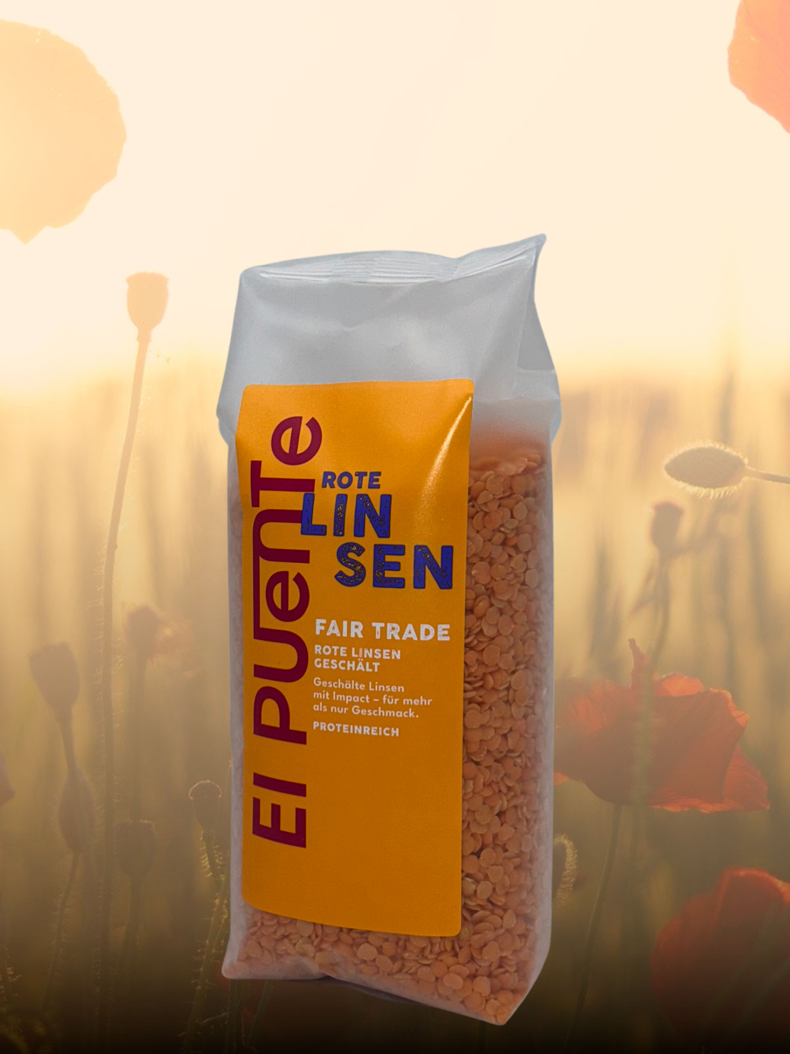 Rote Linsen aus Libanon geschält 450g